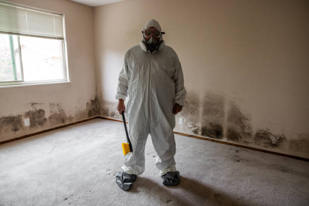 Biohazard Mold Removal in Valley Cottage, NY